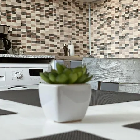 Ultracentral Apt With Center View - Smart Tv - Ac Apartment Timisoara