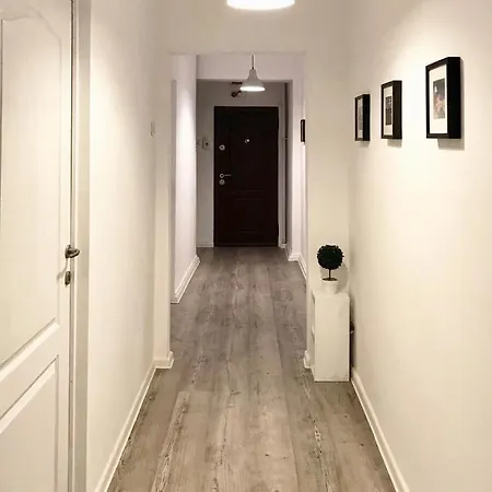 Ultracentral Apt With Center View - Smart Tv - Ac Timisoara